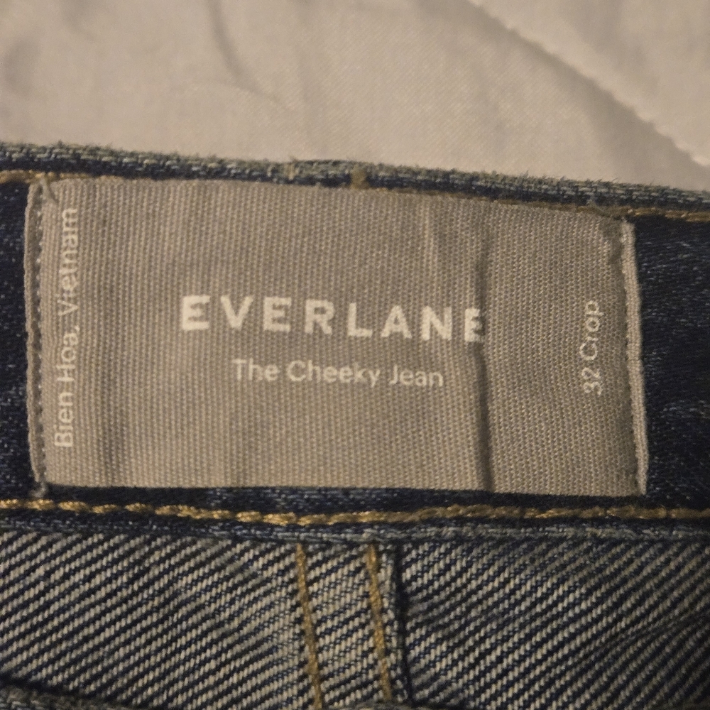 Everlane The Cheeky Jean | Blue Distressed Jeans - Picture 5 of 11